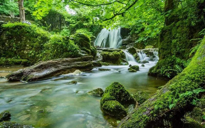 高性能可靠性